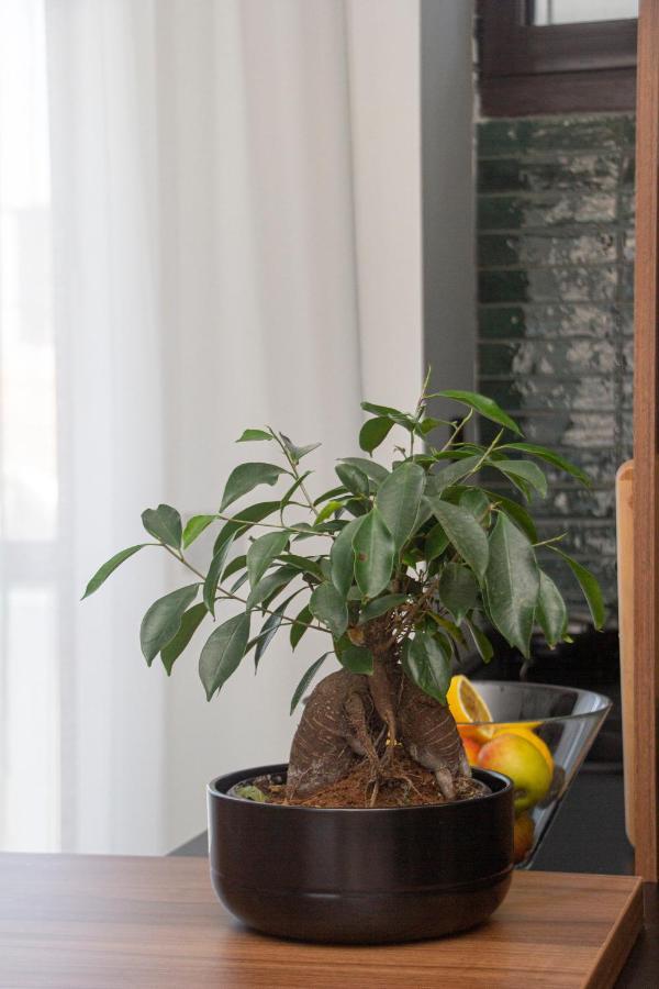 Artisan'S Dwelling Appartement Belgrado Buitenkant foto